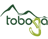 Tobogã