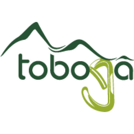 logo dark
