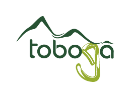 logo dark